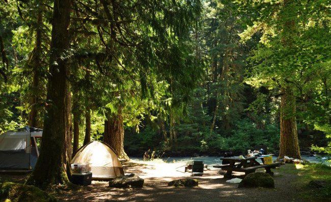 Camping Advice: Heading Out Into The Woods?